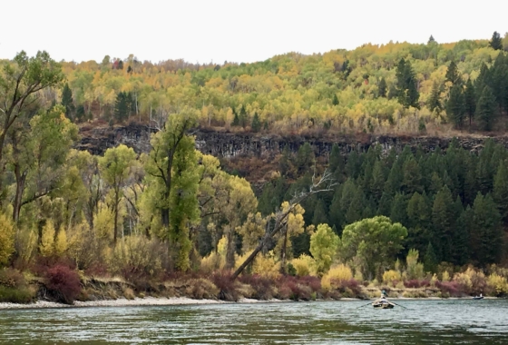 South Fork Snake River - Sean Clark Real Estate