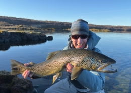Brown Trout - Jackson WY fly fishing