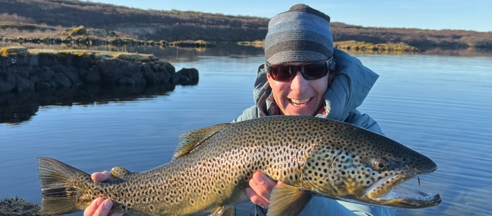 Brown Trout - Jackson WY fly fishing
